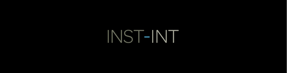 INST-INT 2013