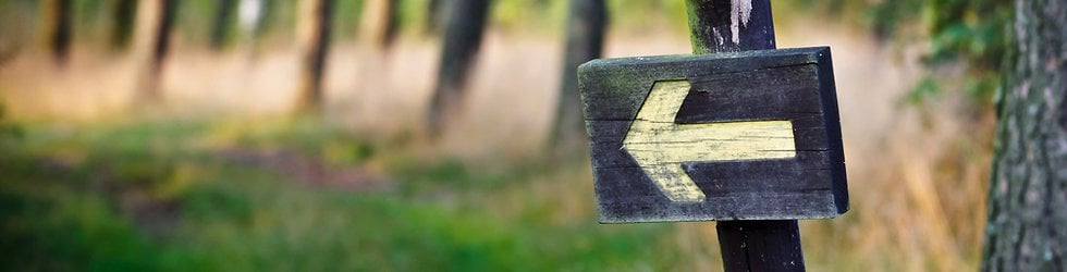 Family Constellations Video (in Russian)