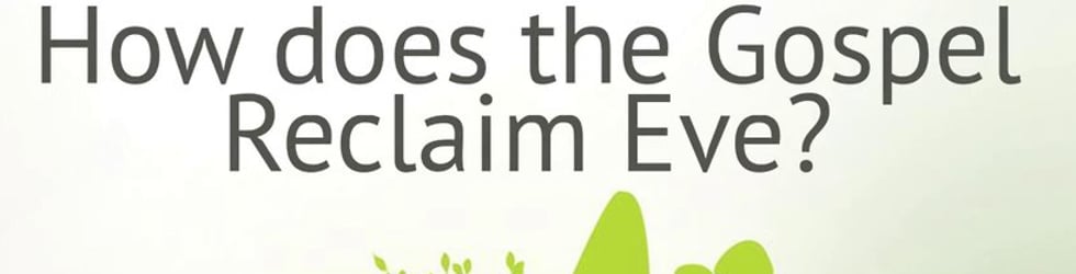 Reclaiming Eve: Stories of New Testament Women