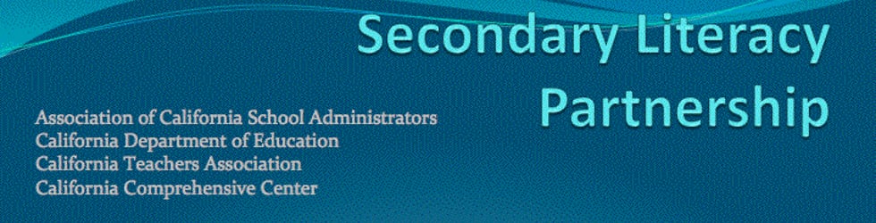 Secondary Literacy Partnership (SLP)