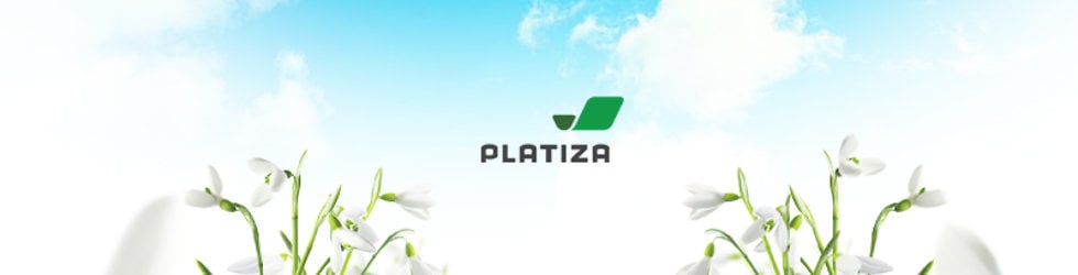 Platiza.ru on Vimeo