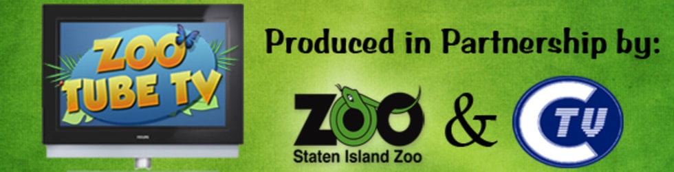 ZOO TUBE TV on Vimeo