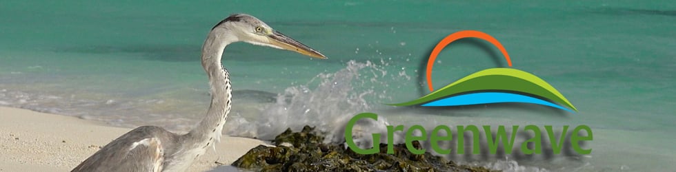 Greenwave's favorites