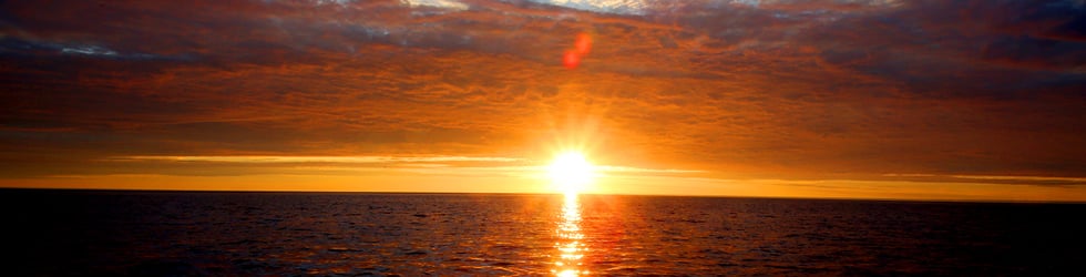 Visual Journeys of Eric Seals