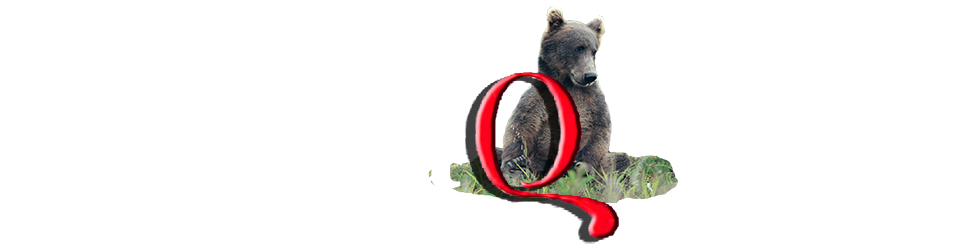 Camera Q