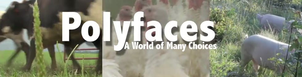 Polyfaces on Vimeo
