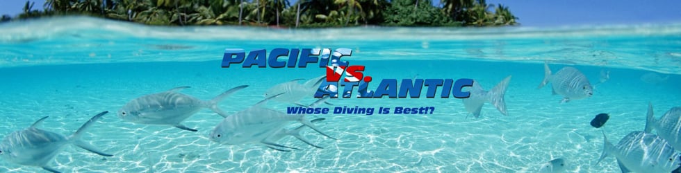 Pacific vs. Atlantic Diving on Vimeo