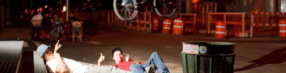 Milankosaurus!&trade;