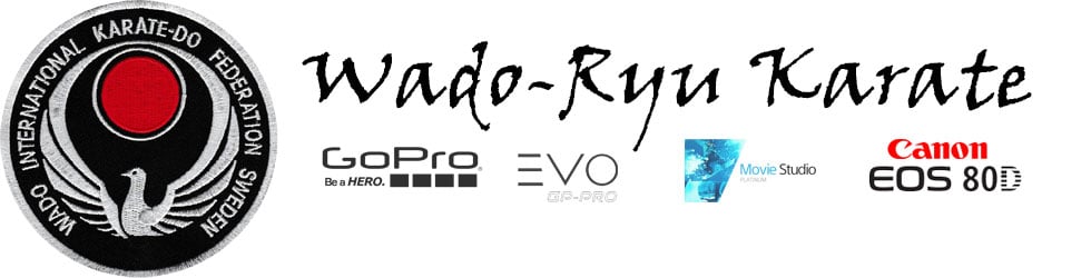 Wado-ryu karate on Vimeo