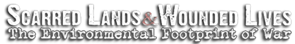 Scarred Lands and Wounded Lives