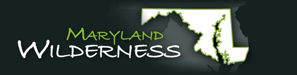 Maryland Wilderness