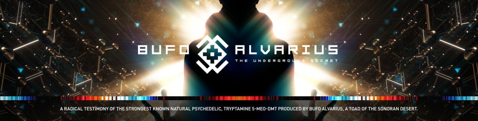 Bufo Alvarius The Underground Secret Stream
