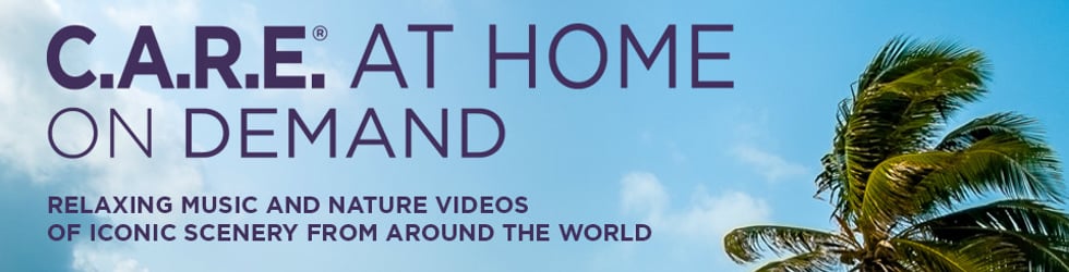 Relaxing Music and Nature Videos