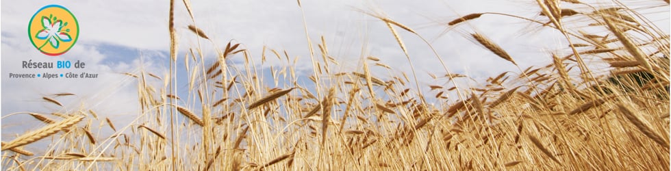 La cha&icirc;ne du r&eacute;seau BIO de Provence-Alpes-C&ocirc;te d'Azur