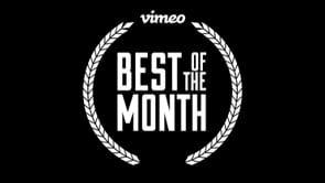 Vimeo Staff Picks: Best of the Month