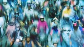 Vimeo Staff Picks: Best of the Year