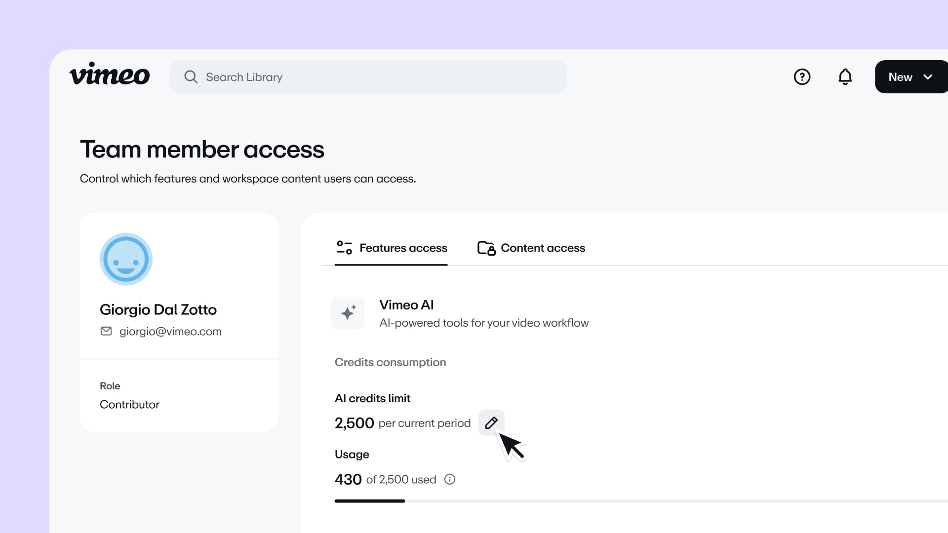 Granular user permissions (AI credits)