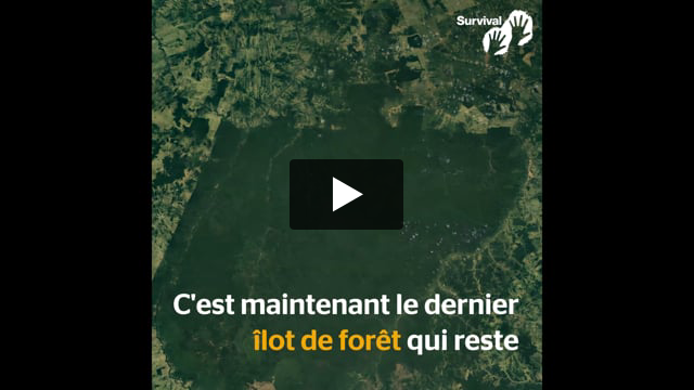 Un îlot de verdure