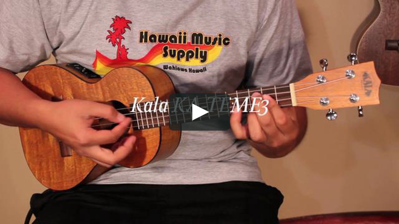 hawaii music supply