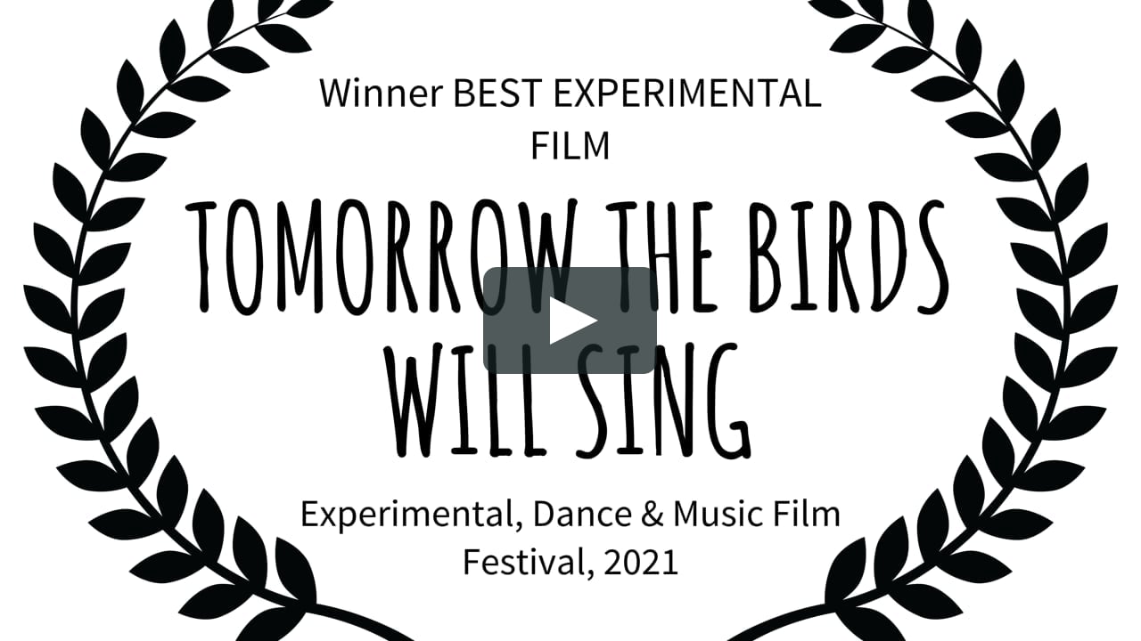 Tomorrow The Birds Will Sing Short Film Audience Feedback From Jan 21 Dance Music Festival On Vimeo Tomorrow The Birds Will Sing Short Film Audience Feedback From Jan 21 Dance Music Festival On Vimeo
