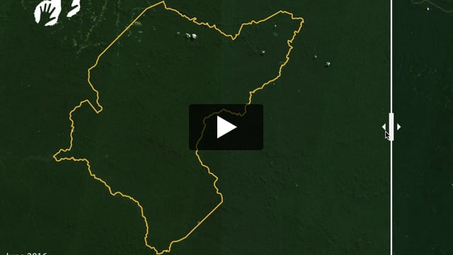 Before and after: deforestation in the Amazon