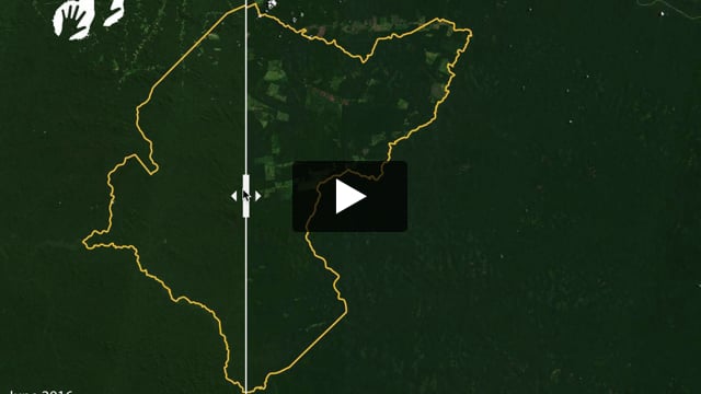 Antes y después: deforestación en el Amazonas