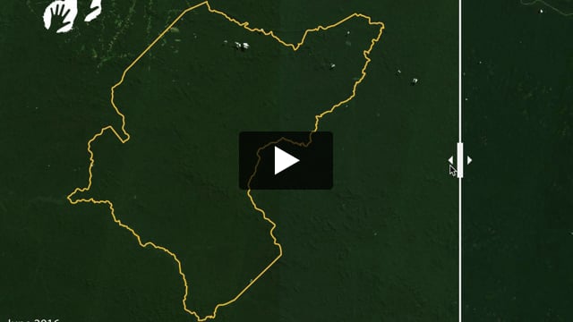 Avant et après : la déforestation en Amazonie