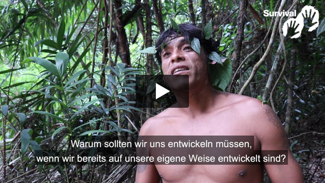 „Wir wollen nur, dass unser Wald frei ist“