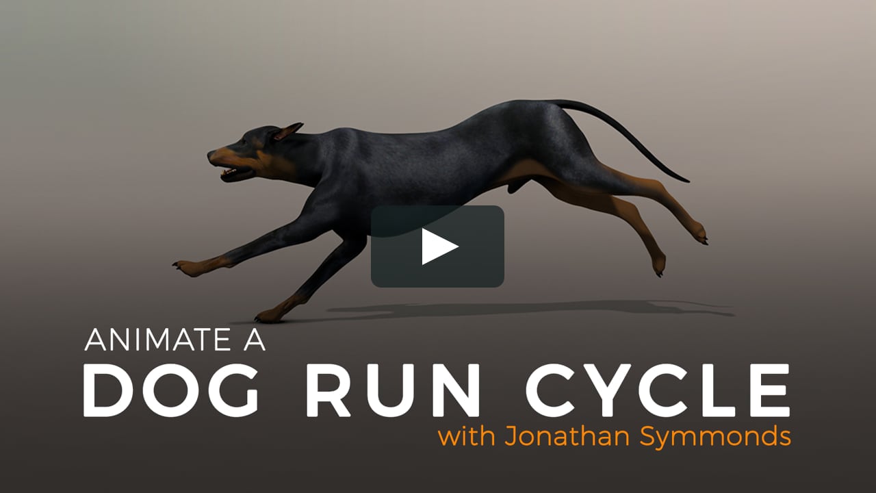 Animate a Dog Run Cycle - Introduction on Vimeo