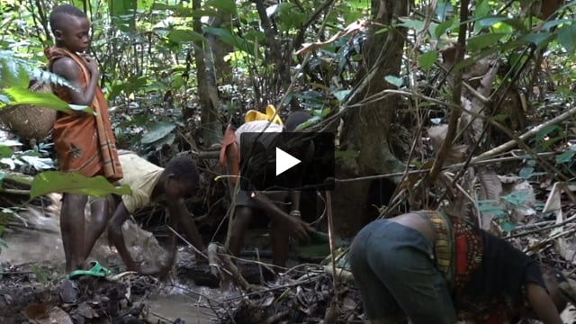 We must #DecolonizeConservation now