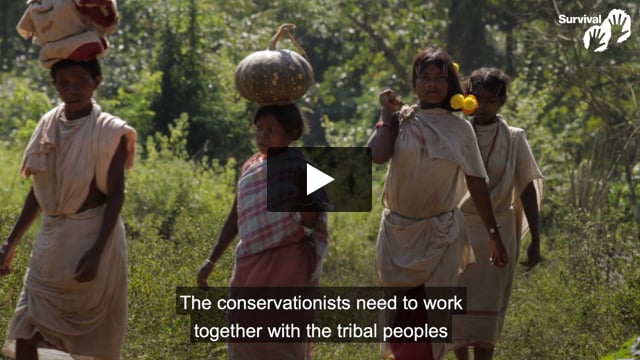 Tribal peoples' lives are being destroyed in India