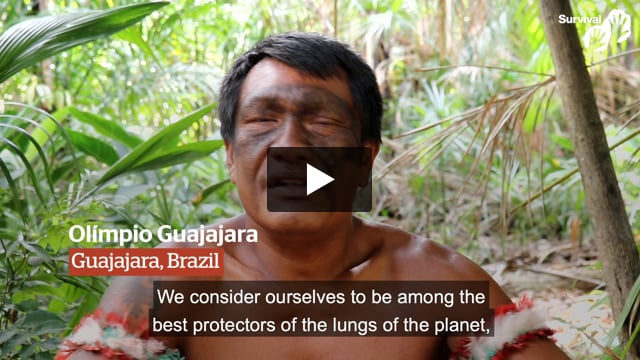 "My people have always protected the forest"