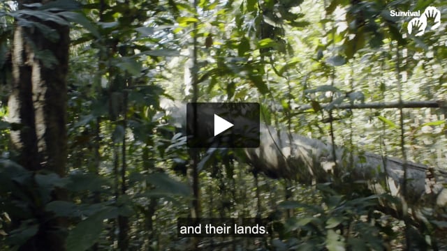 Survival’s former Director Stephen Corry's message for Earth Day