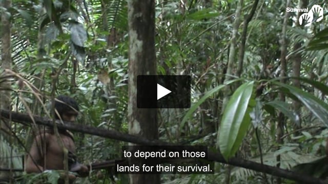 Why uncontacted tribes face genocide