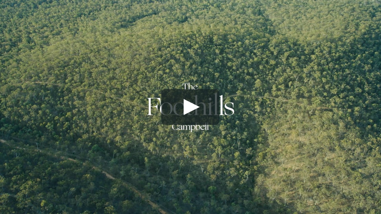 The Foothills