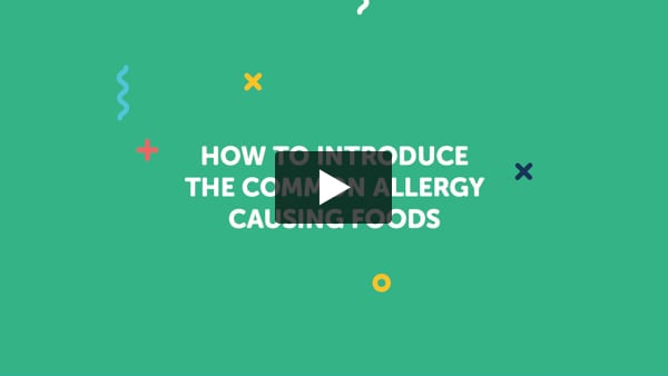 How to introduce common allergy foods