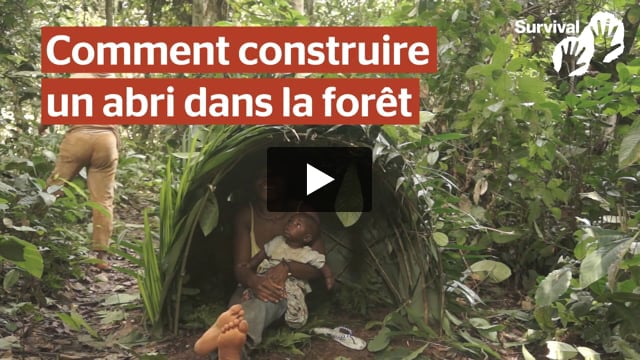 Construisez un abri dans la forêt !