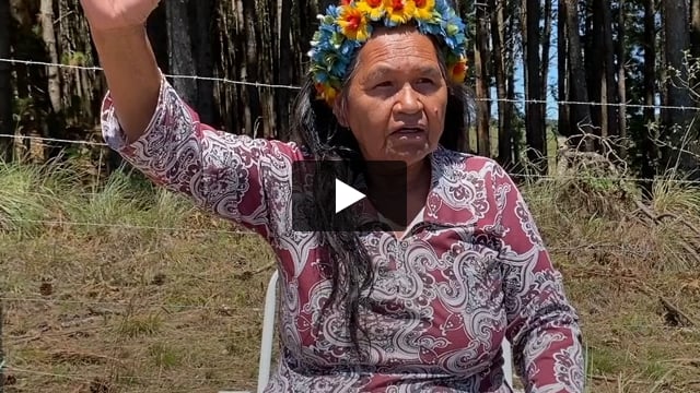 "Eu me levanto e desafio o governo brasileiro"