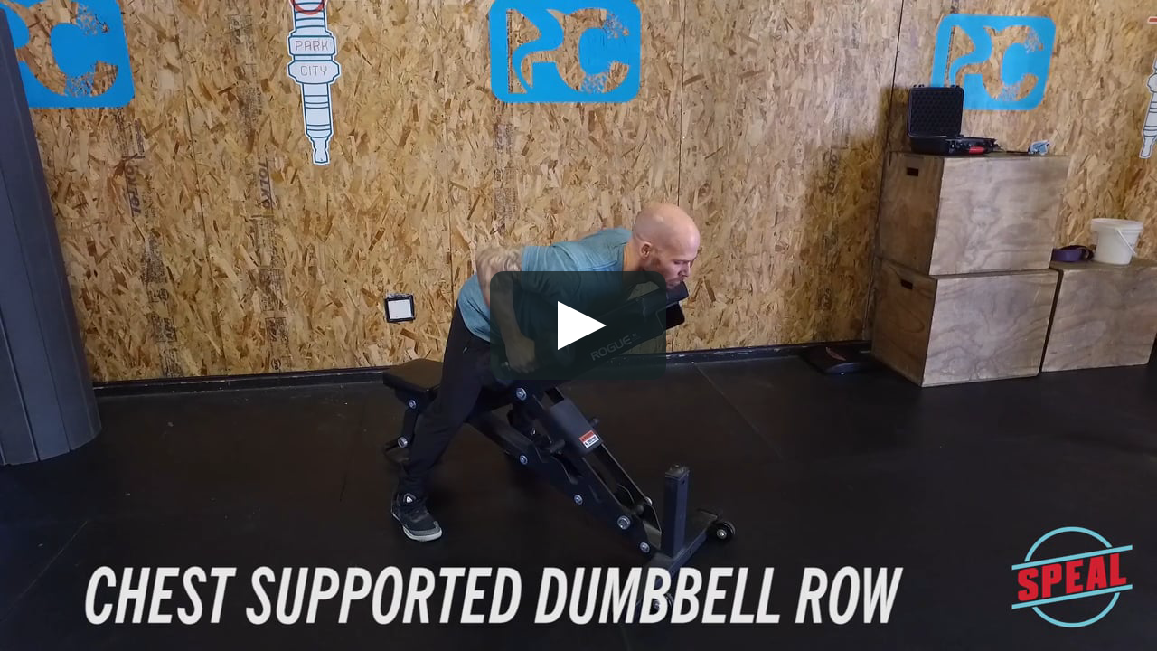 supported dumbbell row