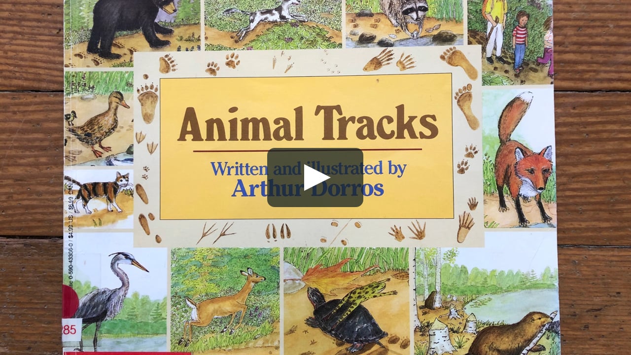 Animal Tracks Read Aloud on Vimeo