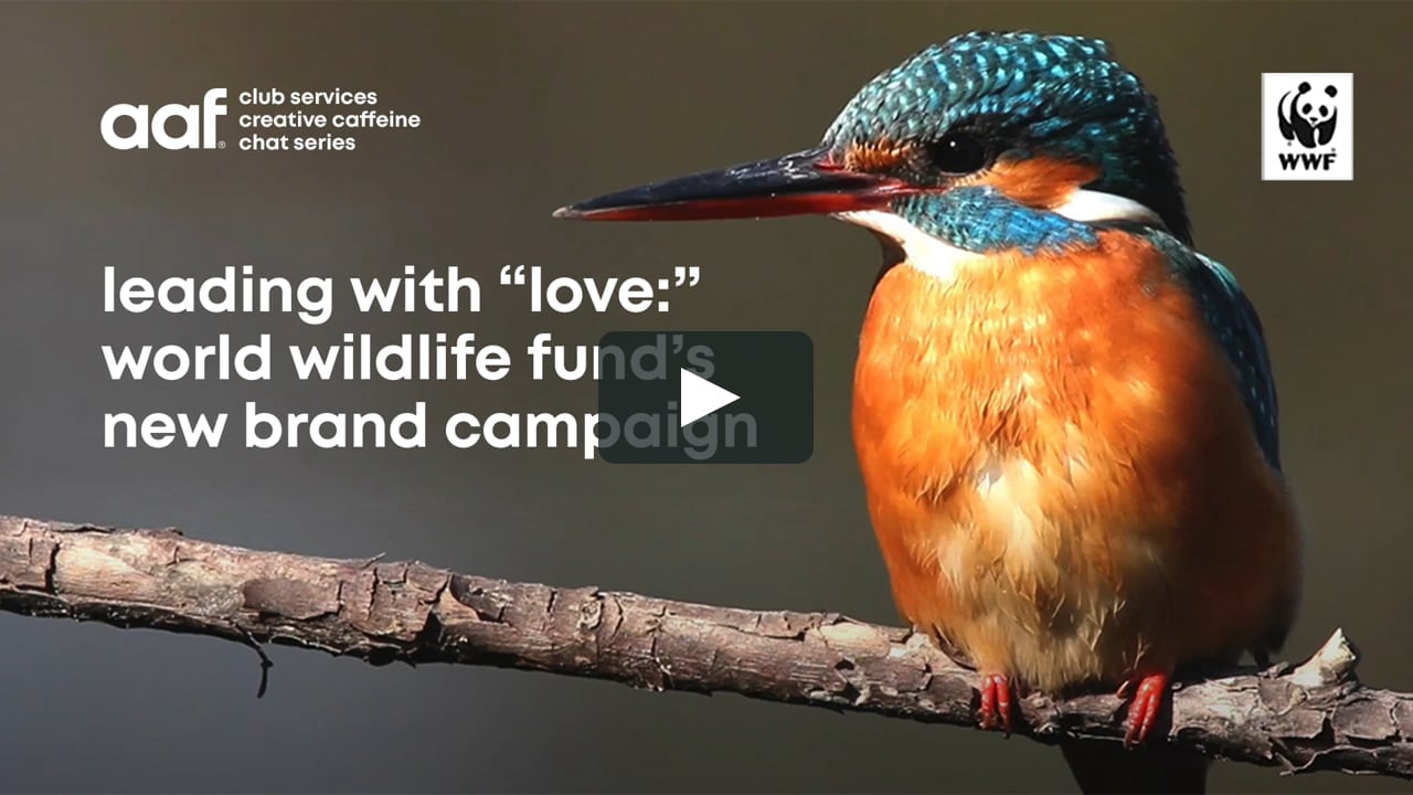 Leading with “Love:” World Wildlife Fund's New Brand Campaign on Vimeo