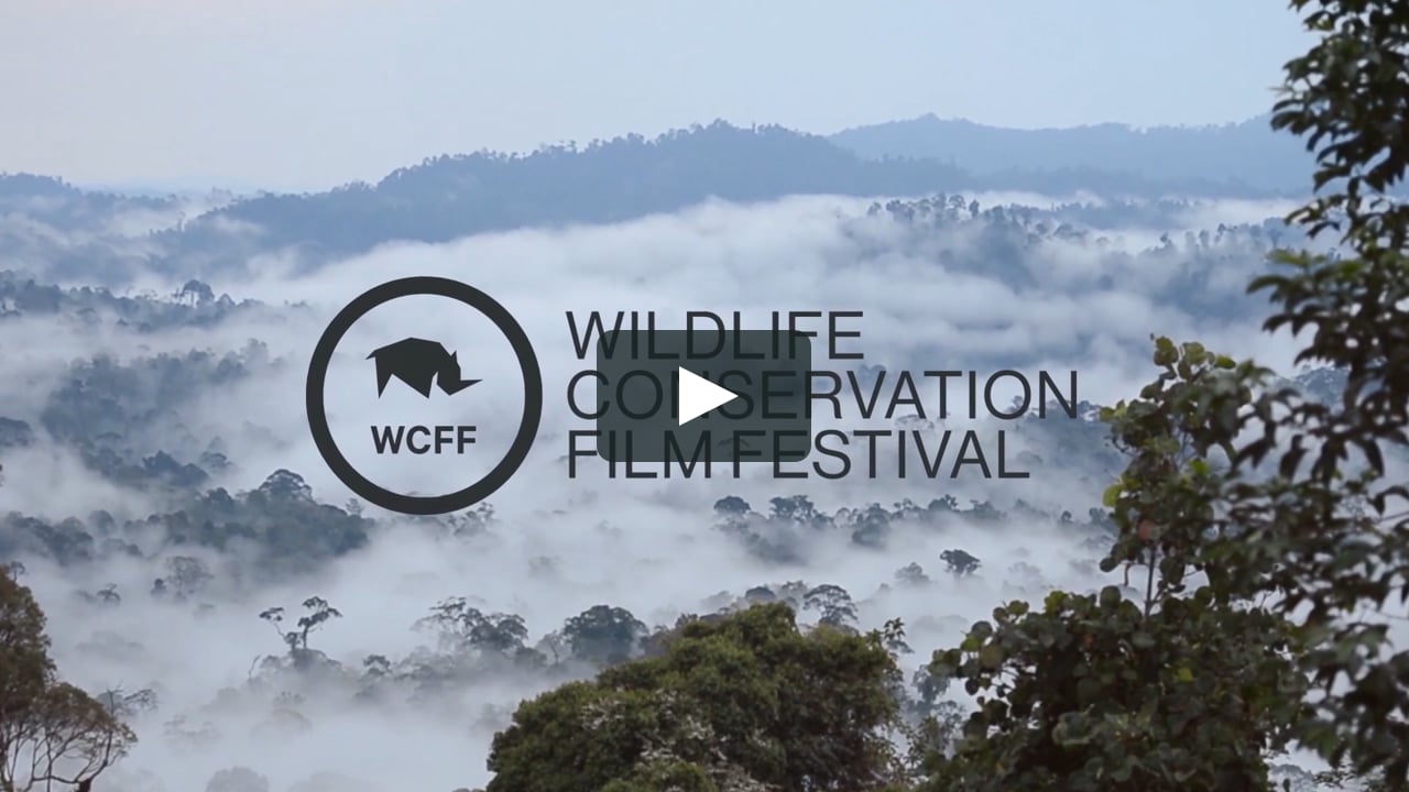 2021 WCFF (Wildlife Conservation Film Festival) on Vimeo