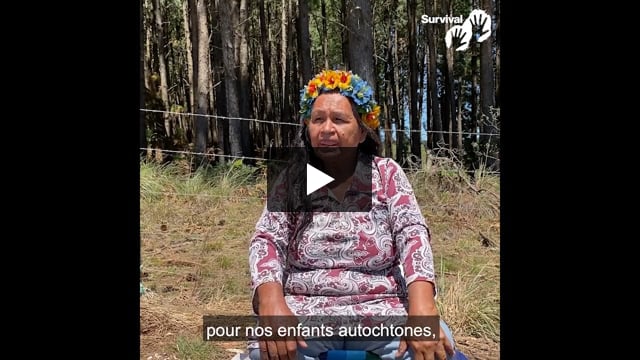 « Nous sommes de retour à la maison et nous ne partirons pas. »