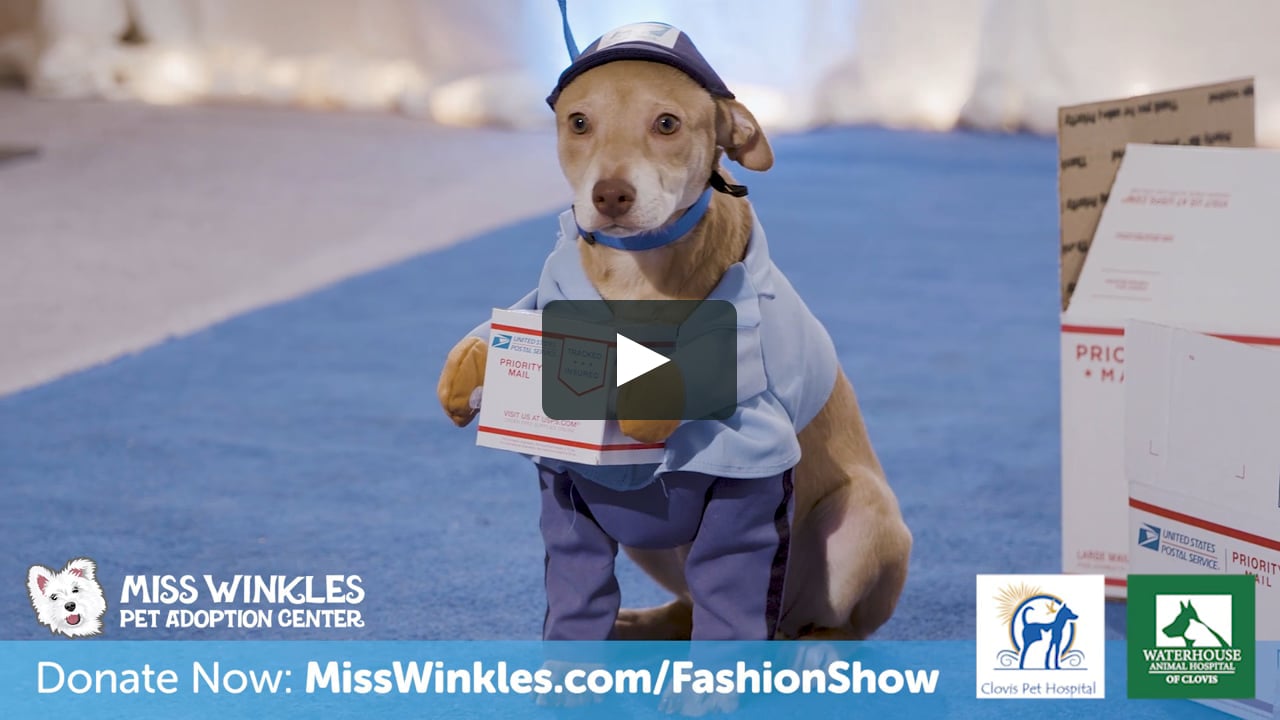 Miss Winkles Pet Adoption Center 2021 Virtual Pet Fashion Show! on Vimeo