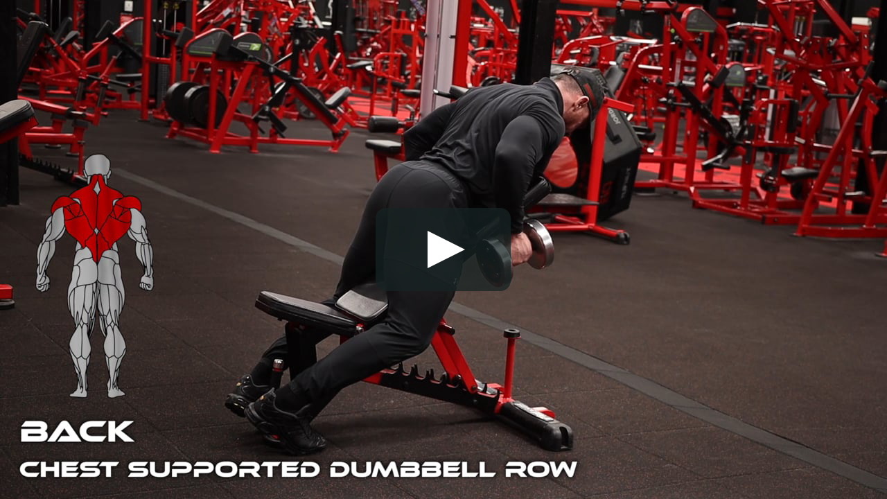 supported dumbbell row
