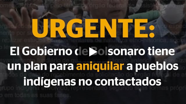 Un plan que podría aniquilar a los pueblos indígenas no contactados