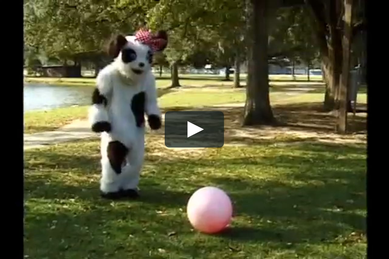 Your Baby Can Read Volume 1 On Vimeo Your Baby Can Read Volume 1 On Vimeo