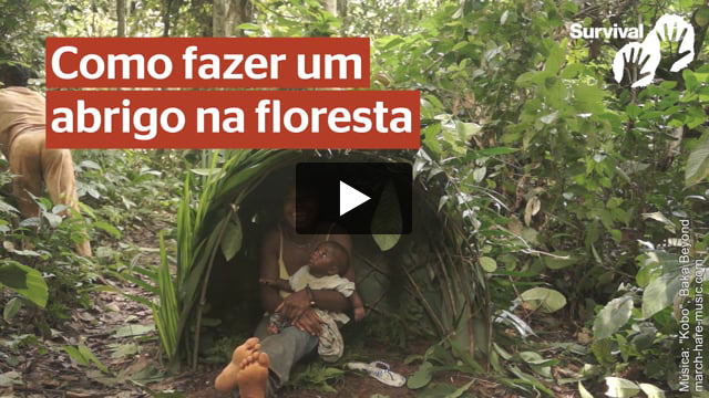 Abrigo na floresta - povo Baka