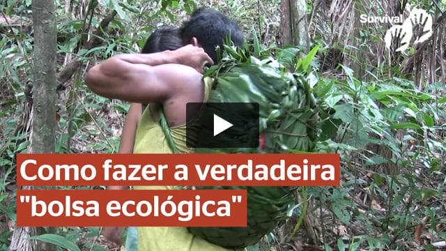 A verdadeira “bolsa ecológica" - povo Awá