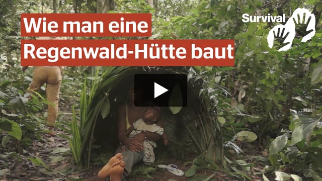 Wie man eine Regenwald-Hütte baut!